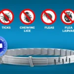 Barxbuddy BiteShield Halsband Bewertungen