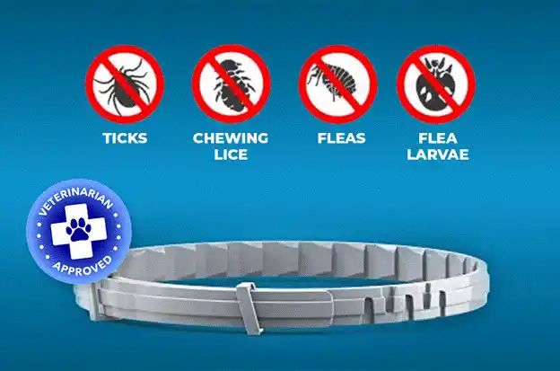 Barxbuddy BiteShield Halsband Bewertungen